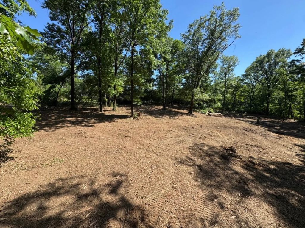 Freshly mulched clearing — forestry mulching result by SAN Excavating